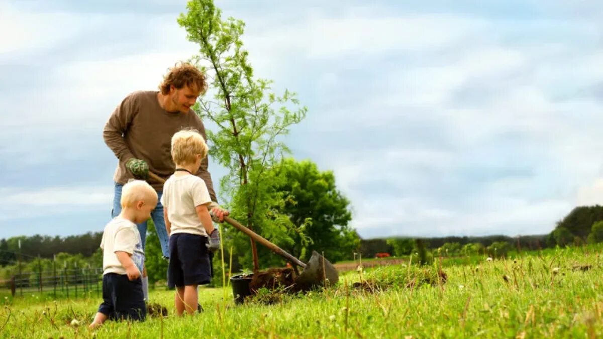 Дети сажают деревья. Папа и сын сажают дерево. Сажание деревьев с детьми. Семья сажает дерево.