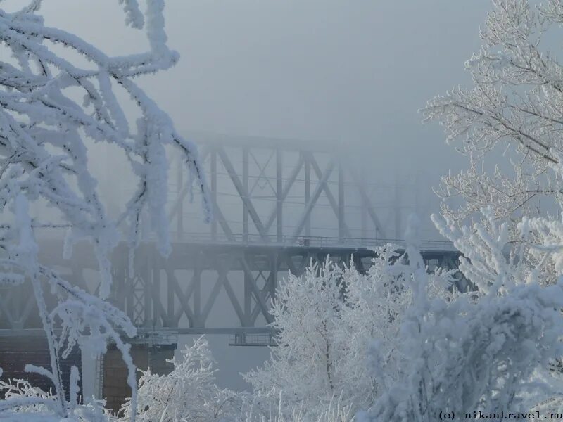 г. ветеранское подворье выставка. фк волки сясьстрой. фк волхов. волхов лайф.