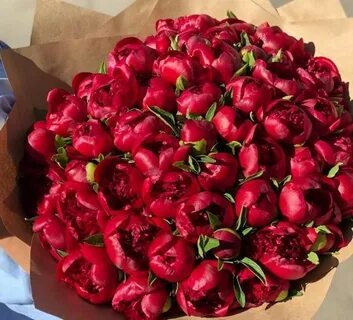Букет красных пионов