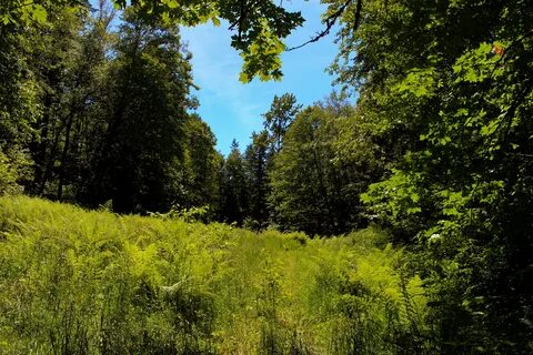 Find field