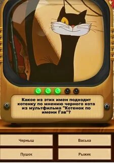 Дадим имя котенку