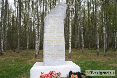 Точка роща