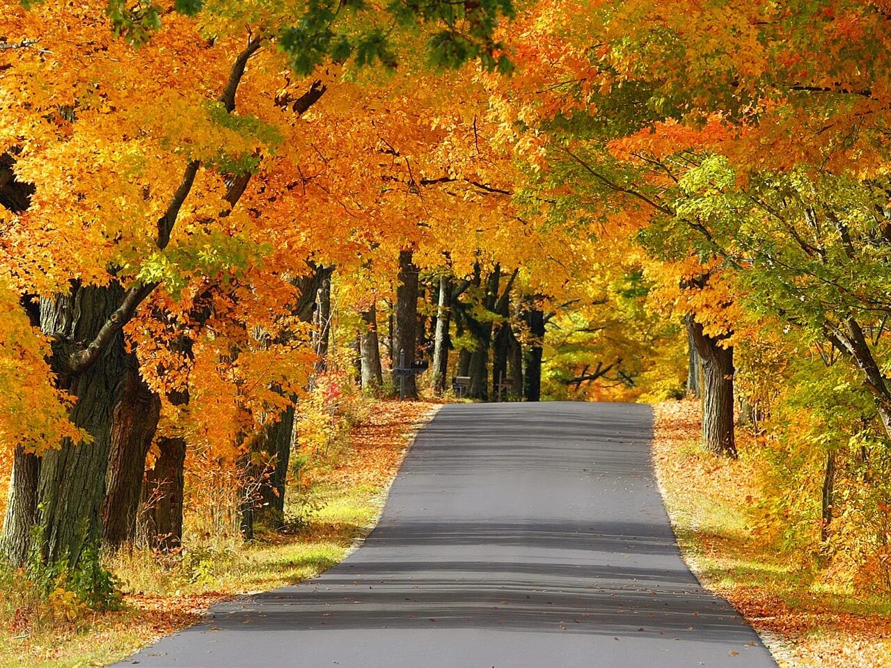 Времена года 5 октября. Осень. Осенняя дорога. Осенняя любовь. Осень картинки.