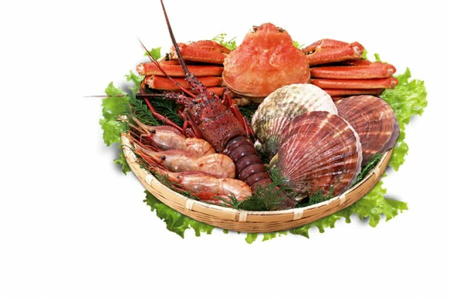 магазин техника изобильный. парк победы изобильный. изобильный интернет. население города изобильный ставропольского края. изобильный интернет.