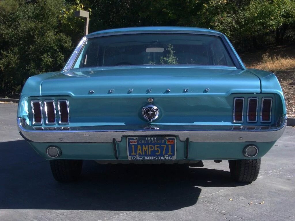 Мустанг и салли. Ford mustang 1964. Мустанг и салли. Mustang sally. Мустанг и салли.