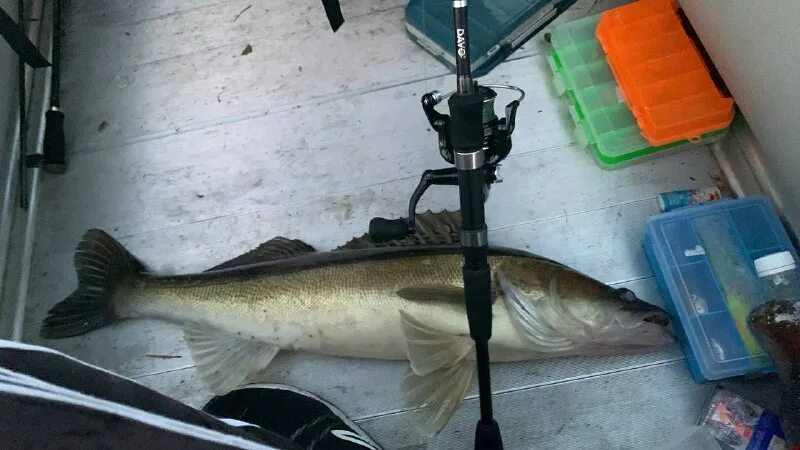 паром петровск. паром судак. судак на пару фото. озеро в судаке. рыбалка в ульяновске.