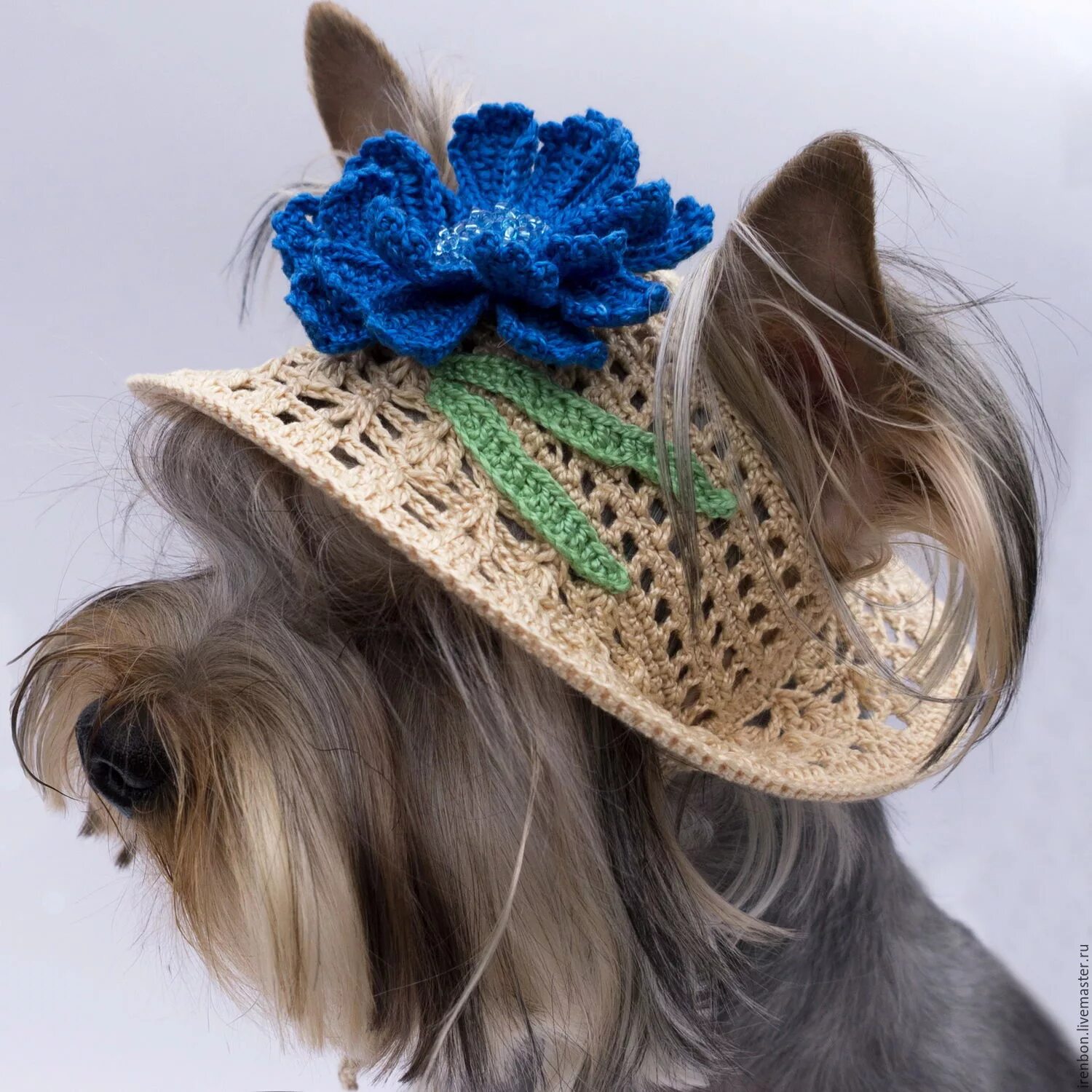 Пес шляпа. Шляпки для собак. Вязаные панамки для собак. Собачка в шляпке. Панама вязаная для собак.