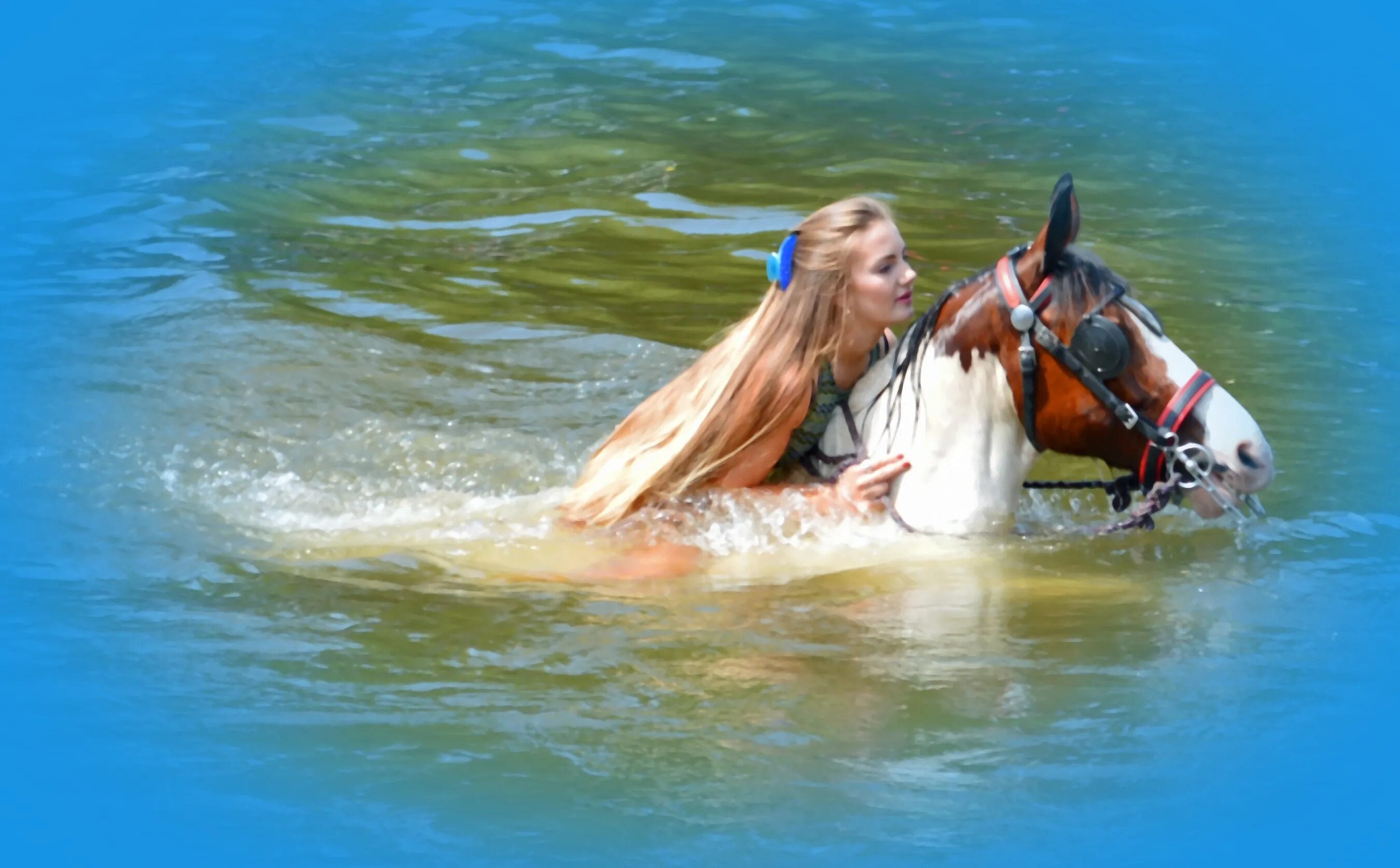 Девушка на лошади в воде. Фотосессия с лошадью в воде. Фотосессия с лошадью на море. Девушка плывет на коне.