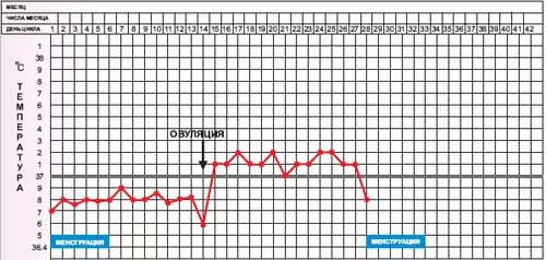 Температура во втором цикле. Вторая фаза менструационного цикла базальная температура. Ректальная температура. Измерение базальной температуры схема. График измерения базальной температуры.