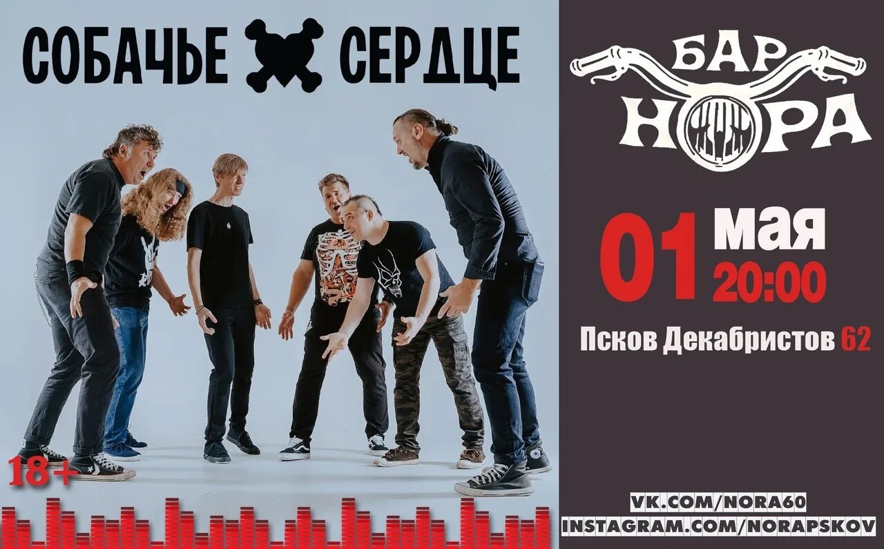 Группа собачье сердце. Собачье сердце аудиокнига. Фан-клуб рок-группы собачье сердце. Группа собачье сердце спб. Денис рыбаков группа собачье сердце.