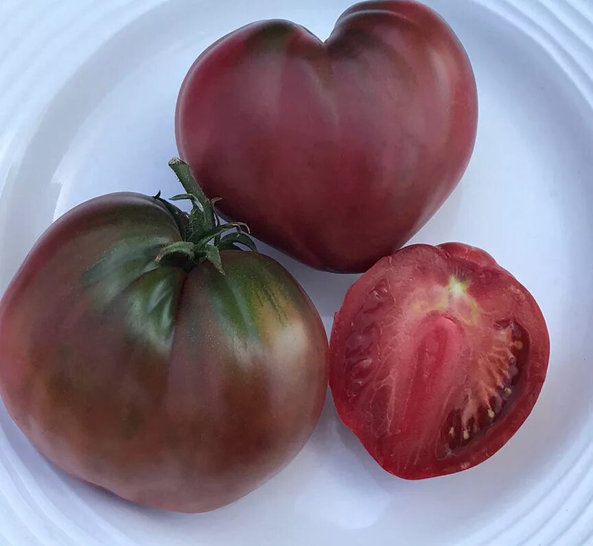 Сердце. Dwarf purple heart (гном пурпурное сердце). Гном пурпурное сердце томат описание характеристика. Сердце. Томат дварф пурпурное.