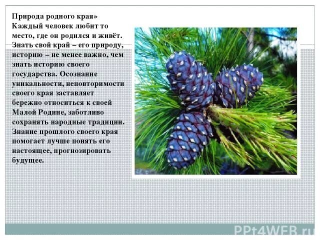 Красота родного края рассказ. Рассказ о красоте родного края. Рассказ о красоте природы родного края. Рассказ о природе родного края. Рассказ о красоте родноготкрая.