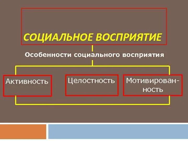 Особенности социального восприятия. Особенности социальной перцепции. Социальное восприятие личности. Восприятие социальная Перцептивная.