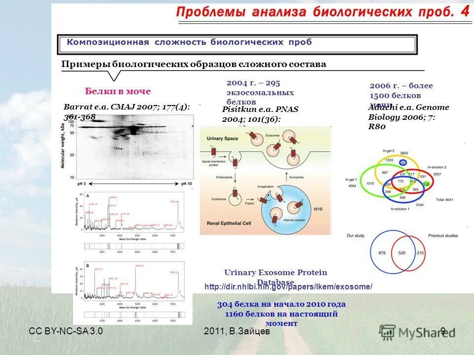 элементы биологического накопления. 3 биологических примера. 3 биологических примера. биологические образцы. примеры прогресса в биологии.