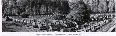 Бирюлинский зверосовхоз