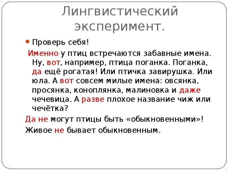 Даже у птиц забавные встречаются имена текст. У птиц забавные встречаются имена. . . . . . . У птиц встречаются имена. У птиц встречаются забавные имена поверишь. Именно у птиц встречаются забавные имена текст.