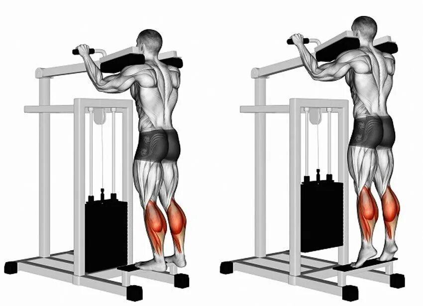 Подъем на носки в тренажере. Подъем на икры стоя в тренажере. Подъем на носки стоя в тренажере. Подъём на носки в тренажере СТО. Упражнения на икроножные мышцы в тренажерном зале.