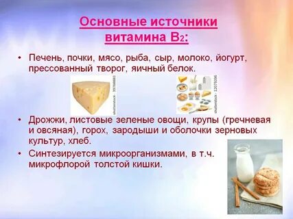 Сыр молоко и дрожжи