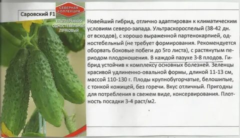 Огурец описание посадки