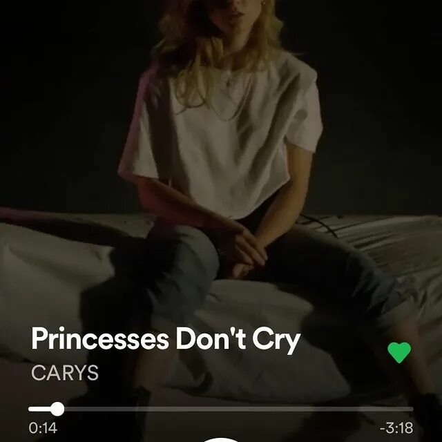 Princess don t cry перевод