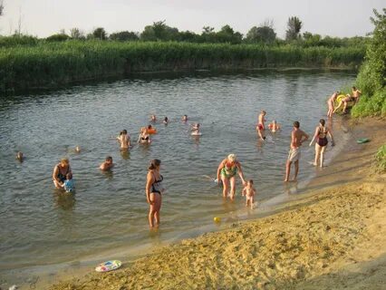 Погода в петрунино камышинский