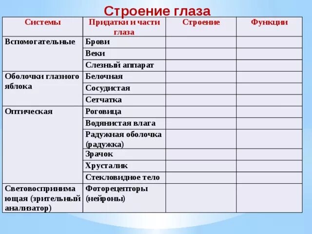 Функции элементов глаза. Строение глаза таблица часть глаза строение и функции. Части глаза строение и функции таблица. Вспомогательные системы глаза таблица. Вспомогательные придатки и части глаза.