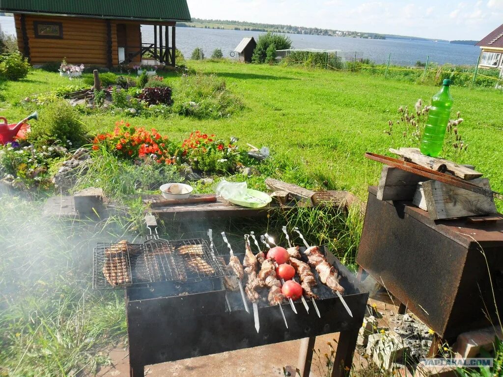 Можно ли жарить шашлык на даче. Шашлыки на даче. Шашлыки на природе. Шашлык на мангале на даче. Барбекю на природе.