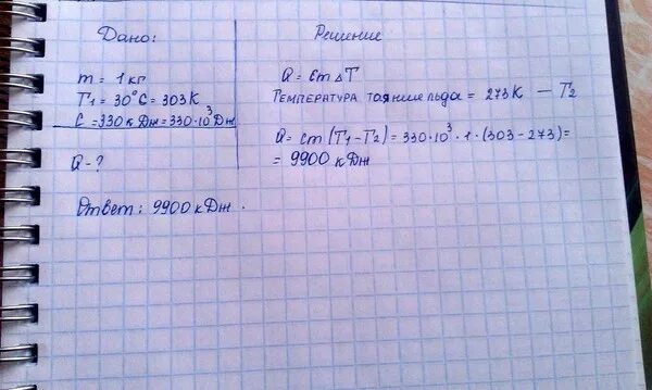 Купили 3 шапки по р и столько. Н.Г.дождь 150х50х0.4см 10цв.. Ultra 3 шт -02.00 r 8.5 прозр.. Холодильник 2.5 0,8 0,9. Дендратема (35-40 см).