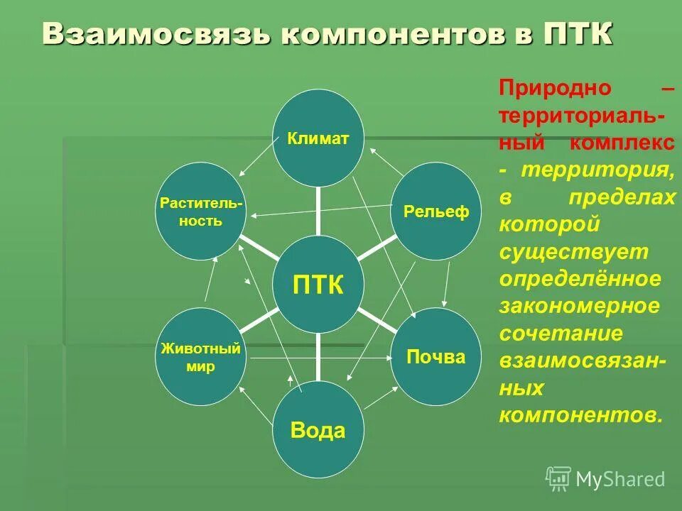 Взаимосвязь природных компонентов. Взаимосвязь компонентов природного комплекса. Основные природные компоненты. Взаимосвязь природных комплексов. Факторы влияющие на формирование природных зон