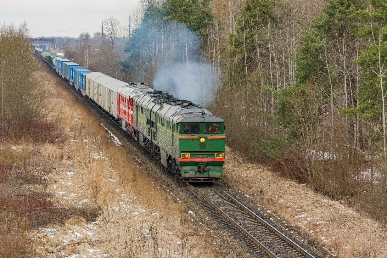 Грузовой тепловоз 2тэ116. Поезд 2тэ116. Псковские железные дороги 2тэ116. Тепловоз 2тэ116 с грузовым поездом.