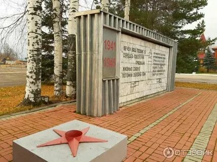 Анонимка тонкино нижегородская