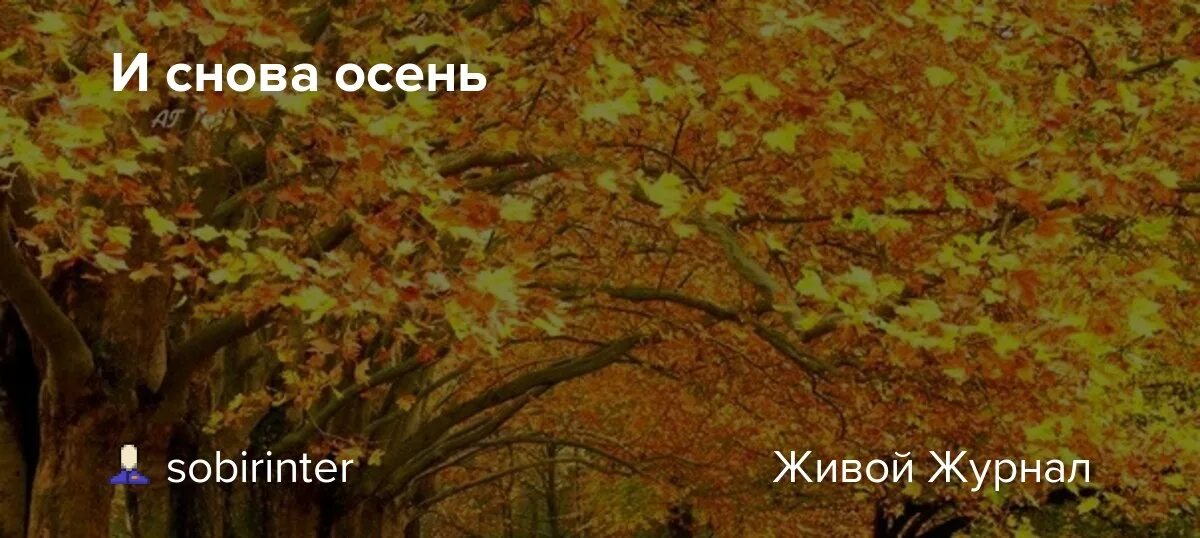 Не тоскуй осень тоже здорового. Осенней тоски пост Мем. Осень осень теперь мы пить точно не бросим.