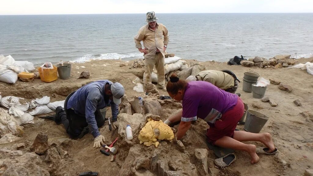 Раскопки на море. Раскопки на море. Находки с морского дна. Арал-асар городище. Раскопки на море.