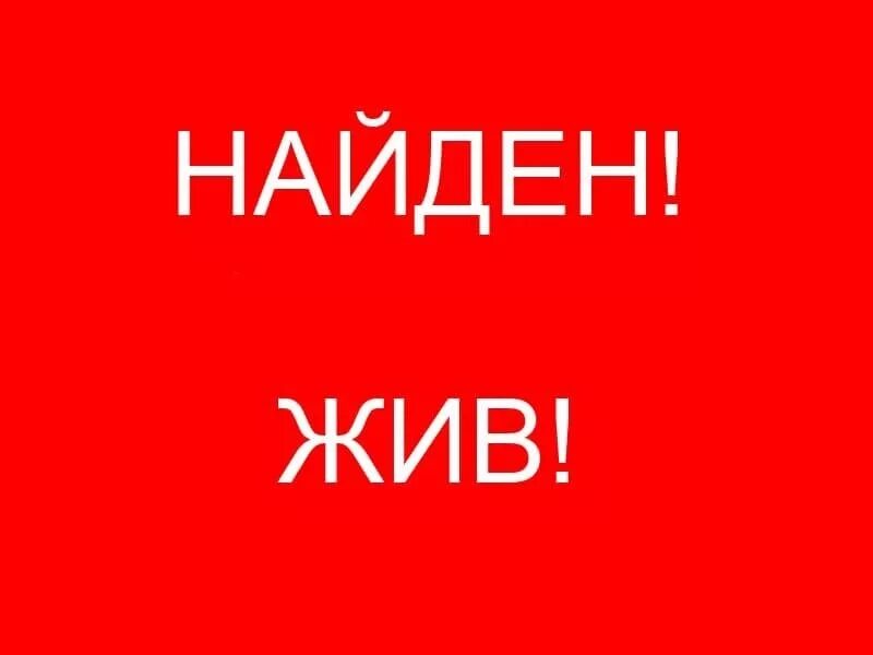 Найден жив зтп. Авиакатастрофа в джунглях. Нашли живым на свою. Нашли живым на свою. Землянка в лесу.