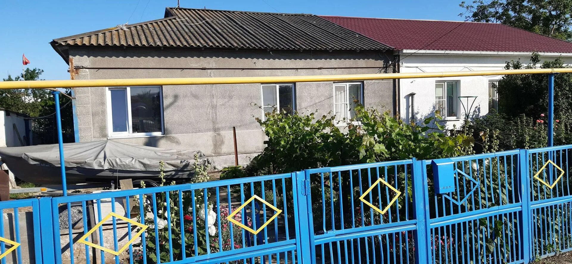 Темрюк виноград мерло. Виноградный темрюкский. Виноградный темрюкский. Виноградники тамани. Виноградный темрюкский.