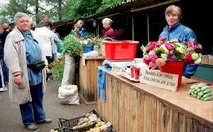 Печорский проспект 72 печора. Печоры рынок. Поселок сыня печорский район республика коми. Печоры рынок. Город печоры 1919.