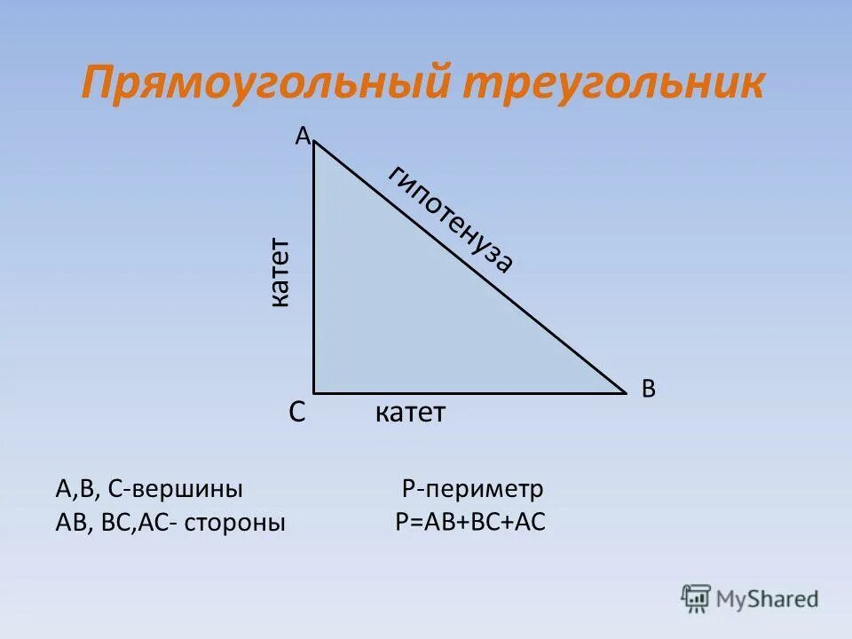 Площадь прямоугольного треугольника произведение катетов. Площадь прямоугольного треугольника произведение катетов