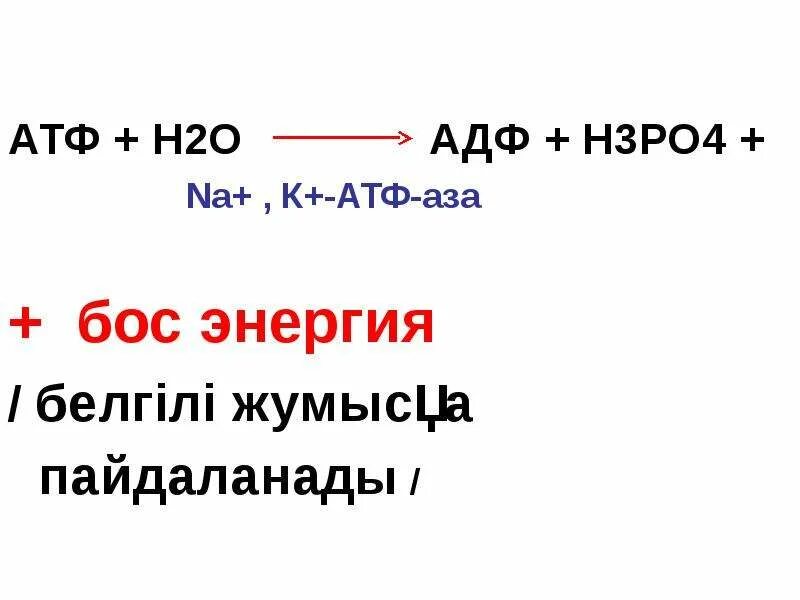 Атф н2о