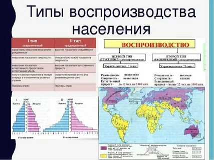 Сша какой тип воспроизводства