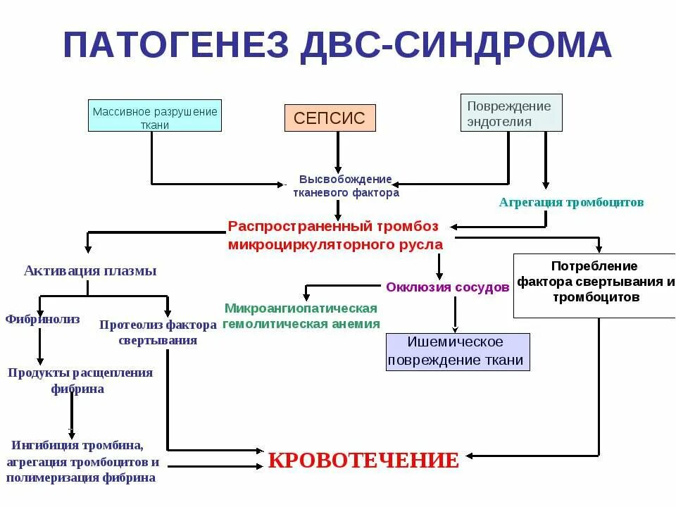 Что такое двс синдром в медицине. Патогенез двс синдрома схема. механизм развития 1 стадии двс синдрома. патогенез развития двс синдрома в развитии сепсиса. при острой форме двс-синдрома.