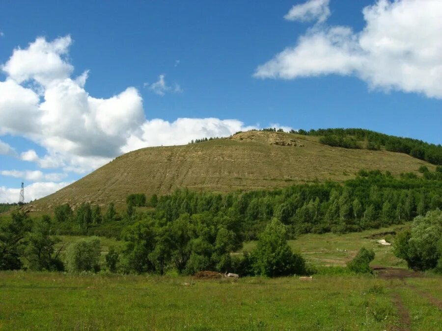 Плоский холм. Гора Нарыш Тау. Гора Нарыш Тау Октябрьский. Бахтеевские Увалы Ульяновская область. Октябрьский Башкортостан горы.