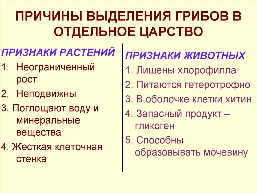 Признаки растений и животных у грибов. Выделение у грибов. Признаки растений. Общие признаки грибов с растениями и животными. 5 основных признаков растений