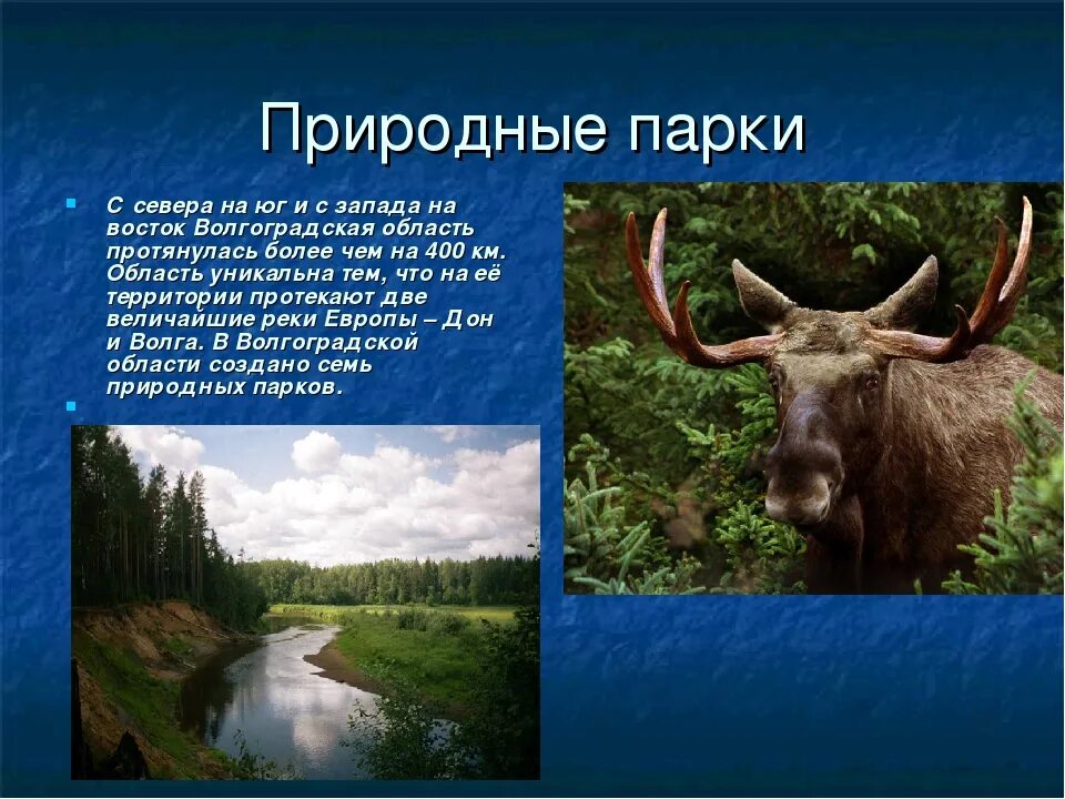 Заповедники Волгоградской области. Заповедники и национальные парки Волгоградской области. Разнообразие природы Волгоградской области. Природные заповедники Волгоградской области. Рассказ о сообществе родного края