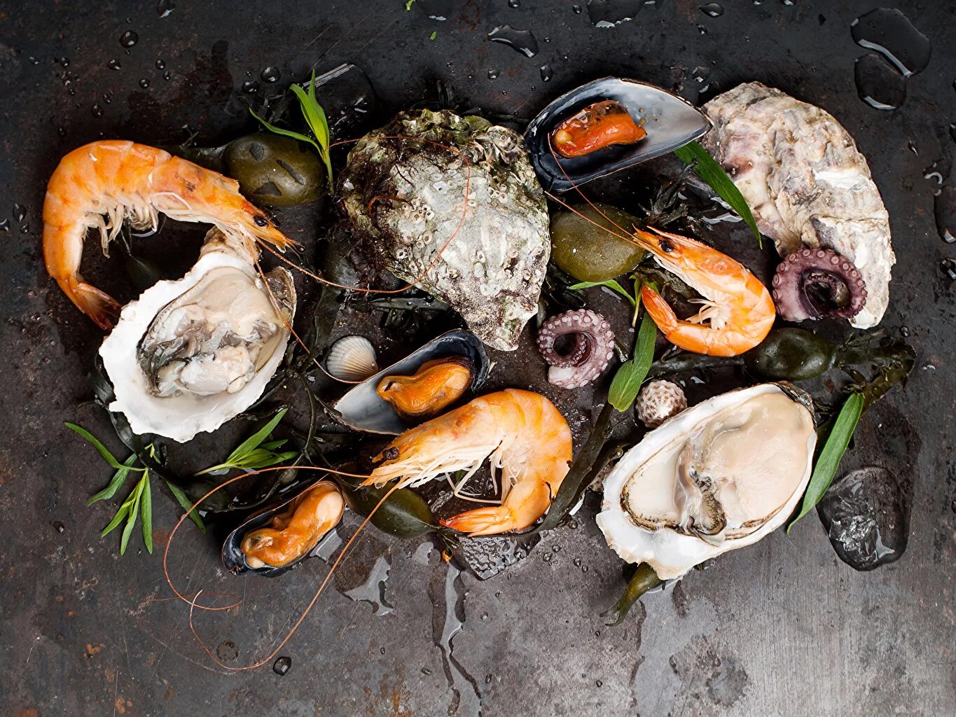 морепродукты в абхазии. французская кухня морепродукты. мидии и гады. морепродукты ракообразные, моллюски. мидии и гады.