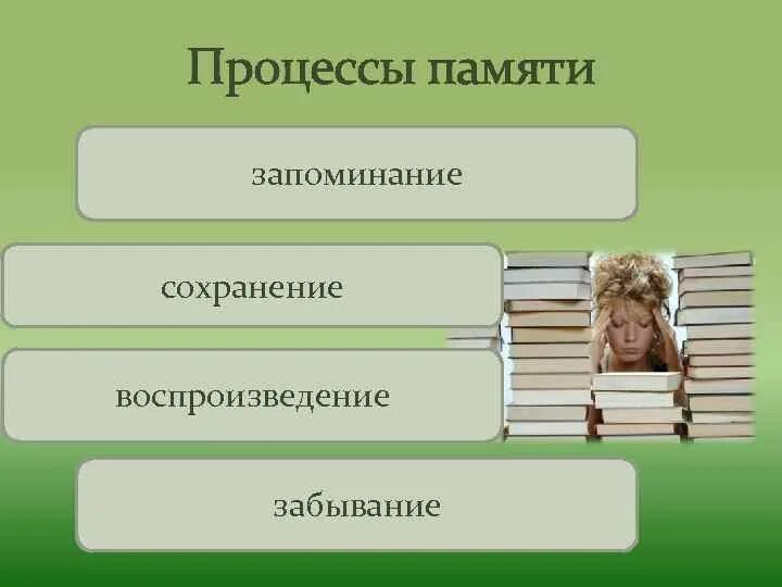 Сохранение воспроизведение забывание это процессы памяти. Сохранение и забывание процессы памяти. сохранение и забывание. запоминание сохранение в памяти.