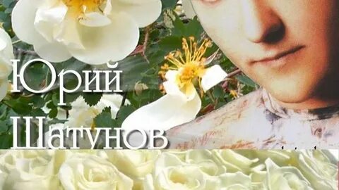 Шатунова музыку белые розы