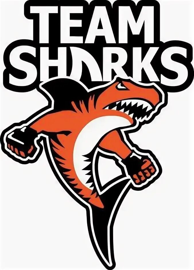 Раскрутка сайта team shark. Shark Team. Sharks Basketball Team.