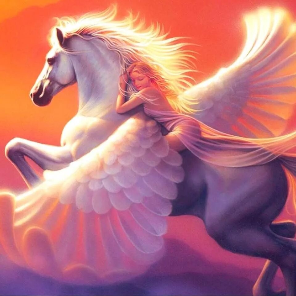 Какой из коней был крылатым. Крылатый конь. Сказочный конь. Лошадь с крыльями и рогом. Конь с крыльями.