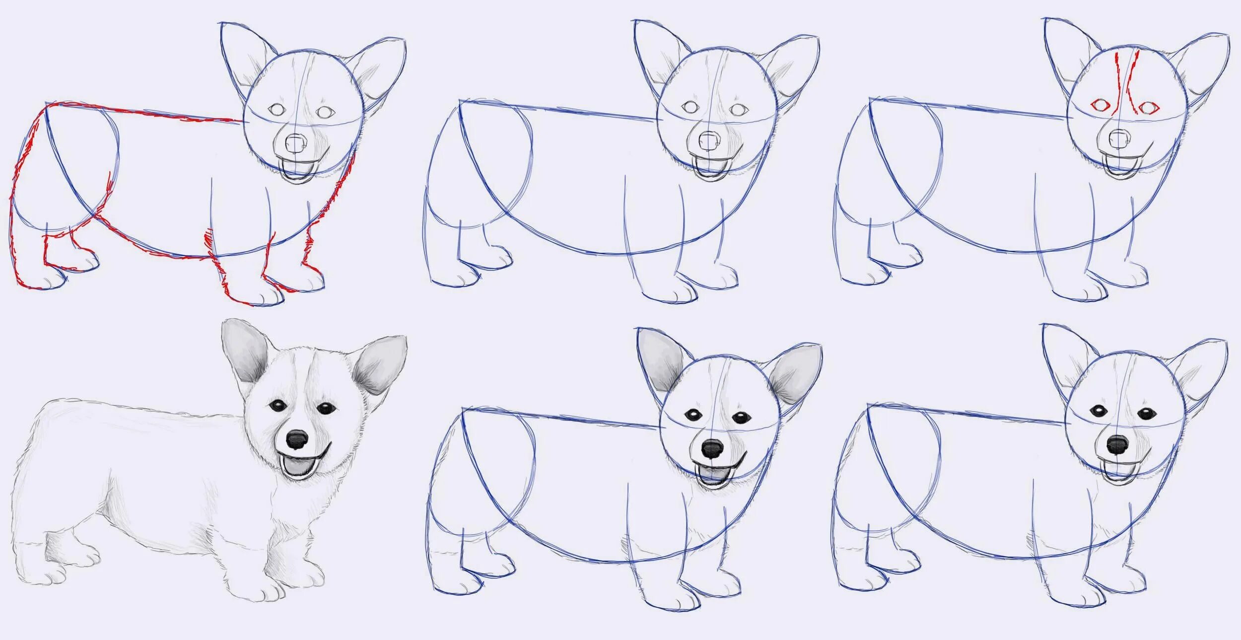 Быстро и легко нарисовать собаку. Поэтапное рисование собаки. Схема рисования собаки для детей. Поэтапные рисунки для срисовки. Рисунок собаки карандашом для срисовки.