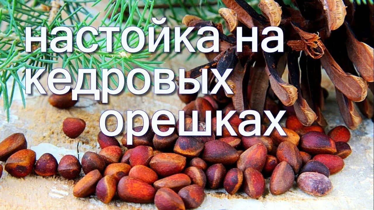 Кедровка настойка из беларуси. Самогон из кедровых орешек. Кедровые орехи настойка от чего помогает. Настойка из кедровых орех давление понижает?. Кедровые орехи настойка от чего помогает.
